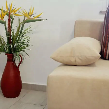 Palma דירה ביבינייה