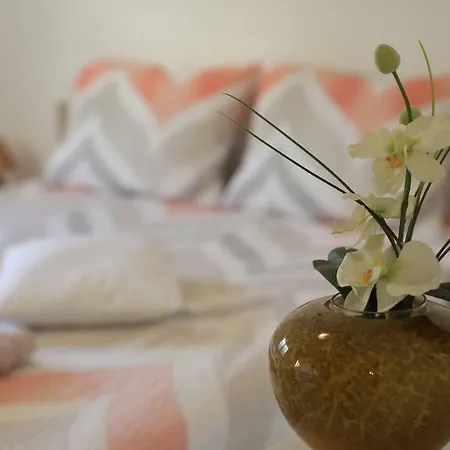Palma Apartment *